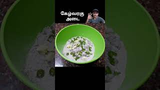 Sunday Samayal  கேழ்வரகு அடை  Kezhvaragu Adai Recipes in Tamil youtubeshorts shorts [upl. by Llenyt]