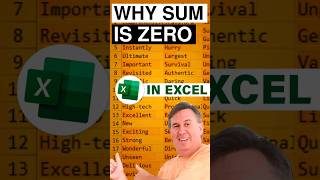 Excel  Why Excel SUM is Zero Shorts microsoftexcel excel  Episode S0003 [upl. by Werra]