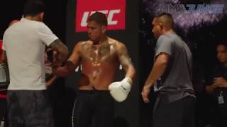 Anthony Pettis full UFC 229 open workout [upl. by Colis]