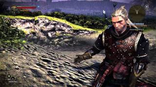 Lets Play The Witcher 2 056 Deutsch  Leichen kokeln [upl. by Gewirtz]