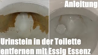 Urinstein in der Toilette entfernen mit Essig Essenz Anleitung [upl. by Lletnuahs]