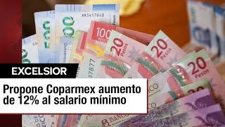 Coparmex propone aumentar el salario mínimo un 12 para 2025 [upl. by Arnoldo]