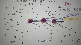 Microtubule nucleation through phase separation [upl. by Becki]