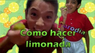 Cómo hacer limonada  PARODIA [upl. by Sirraj282]