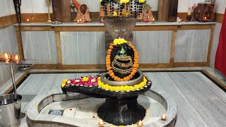 02112024 Happy New year 🙏 Mahadev todays morning arti darshan Jay Mahadev youtube shots [upl. by Tannie695]