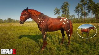 Native American Horses  Liver Chestnut Hungarian Halfbred  RDR2 [upl. by Ennovoj960]