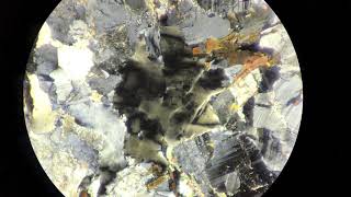 Petrology Thin Section Undulose Quartz in Granite [upl. by Winshell572]