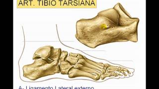 Artroscopia de tobillo [upl. by Terry]