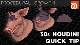 Houdini 30s Quick Tip 1  Procedural Growth [upl. by Blanche636]