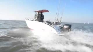 Alpha 590 Aluminiumboot bei BESTBoats24 [upl. by Aber]