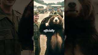 Wojtek The BeerDrinking Bear of World War IIhistory facts shorts [upl. by Benis]