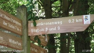 Geburtstagsausflug Baumkronenweg und Edersee am 3 7 2018 in 4K von tubehorst1 [upl. by Arihsaj]