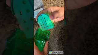 Humane Mouse Trap Review and Testing [upl. by Marra]