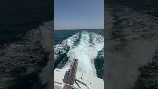 Ferretti 185 Fly cruising yachtsforsale yachtforsale sailing [upl. by Leahcimal]