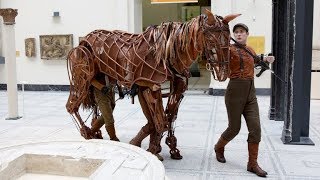 Joey from War Horse [upl. by Norac663]