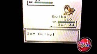 Beta Pidgey Pokemon Red Version 1997 [upl. by Salaidh]