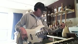 Lakland Skyline DJ4 [upl. by Dukey78]