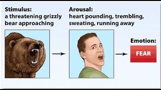 JamesLange theory of emotion [upl. by Markland]