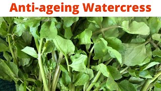 Watercress Benefits  Skin Eyes Heart [upl. by Greiner561]