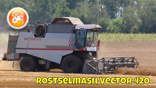 Harvest 2024  Rostselmash Vector 420 combine harvester [upl. by Eveneg]