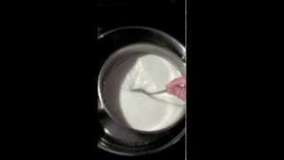 How to pasteurize goats milk [upl. by Enida]