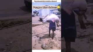 Big fish catch 🙄🙄peopleampBloges shorts Video upload by LimonHasanBabuyoutube channel [upl. by Schertz724]