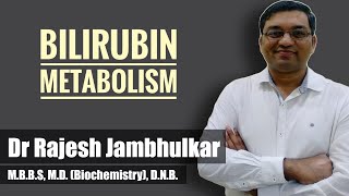 Bilirubin metabolism  Heme catabolism by Dr Rajesh Jambhulkar [upl. by Ytsim]