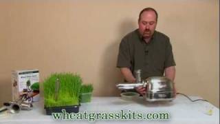 Harvesting amp Juicing Wheatgrass  Wheat Grass Juice [upl. by Elidad420]