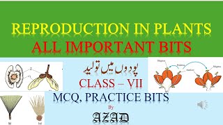 Reproduction in plants Class 7 Urdu Medium MCQ Practice bits [upl. by Marduk]