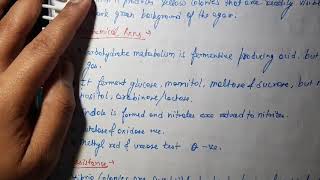 Vibrio Cholerae Microbiology [upl. by Jozef]