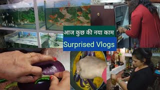 मेरे कछुए को हो गई है तबीयत खराब daily recipe daily food cooking Daily routine my video [upl. by Emeline296]