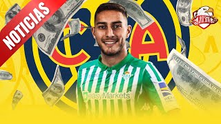 🚨Última HORA hay información de la SALIDA de SEBASTIAN CACERES  Noticias del América [upl. by Dewhirst]