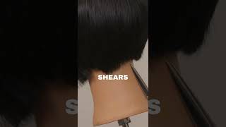 ✂️ how to point cut a straight line ✂️ precisioncutting haircutting [upl. by Eelrac843]