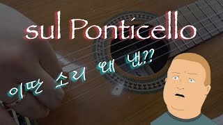 Sul Ponticello에 대한 모든것 쓰라는거야 말라는거야음향 상향 [upl. by Atikaj]