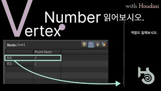 VertexNumber Houdini에서 읽는 방법과 역할을 알아보자 Feat Reverse Node [upl. by Aicek623]