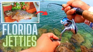 Catch and Cook MANGROVE SNAPPER Florida Jetty Fishing [upl. by Yrome726]