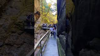 Discovering Flume Gorge in NH 🍁 🍃 🍂 [upl. by Dhumma]