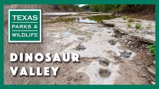 Dinosaur Valley State Park Texas [upl. by Akemed]