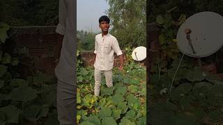 ￼ padosi Funny video funny comedy youtube shorts [upl. by Ahsitauq]