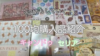 【購入品・収納】100均購入品紹介の後収納もしていく！｜キャンドゥ｜セリア [upl. by Atsyrt]