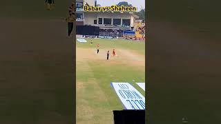 babar azam vs Shaheen Afridi in champions one day cup 2024 babarazam shaheenafridi shortvideo [upl. by Massimiliano]