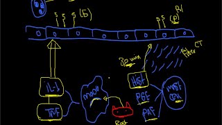 inflammation 4 adhesion molecules [upl. by Vergil]