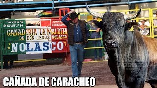 ¡20 TOROS EN CAÑADA DE CARACHEO RANCHO LA PIONERA Y LA M4LDIT4 EN LA 2 CAMINOS 2019 [upl. by Cartie]