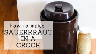 Sauerkraut Crock Recipe  HOW TO MAKE SAUERKRAUT IN A CROCK  Bumblebee Apothecary [upl. by Anauqcaj]