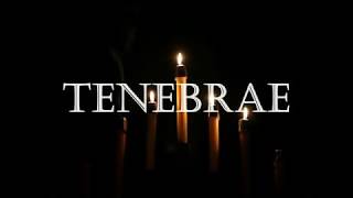 What is TENEBRAE  Wyoming Catholic College Schola [upl. by Korenblat]