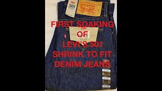 FIRST SOAKING OF LEVIS 501 quotSHRINK TO FITquot DENIM JEANS [upl. by Nhguaved]