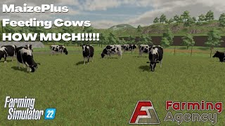 Feeding Cows  How much do they eat and why  MaizePlus  FS22 [upl. by Hitoshi]