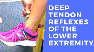 Deep Tendon Reflexes of the Lower Extremities [upl. by Neraa]