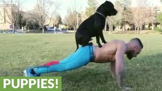 Professional MMA fighter trains with help from his dog [upl. by Asseram]