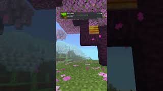 Make your MCPE more saturated I recommended this shader to use minecraft mcpe mcpeshaders [upl. by Reba]